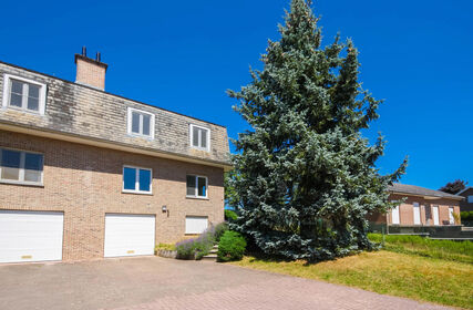 Family house for rent in Vossem