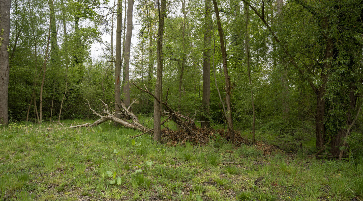 Bouwgrond te koop in Kampenhout