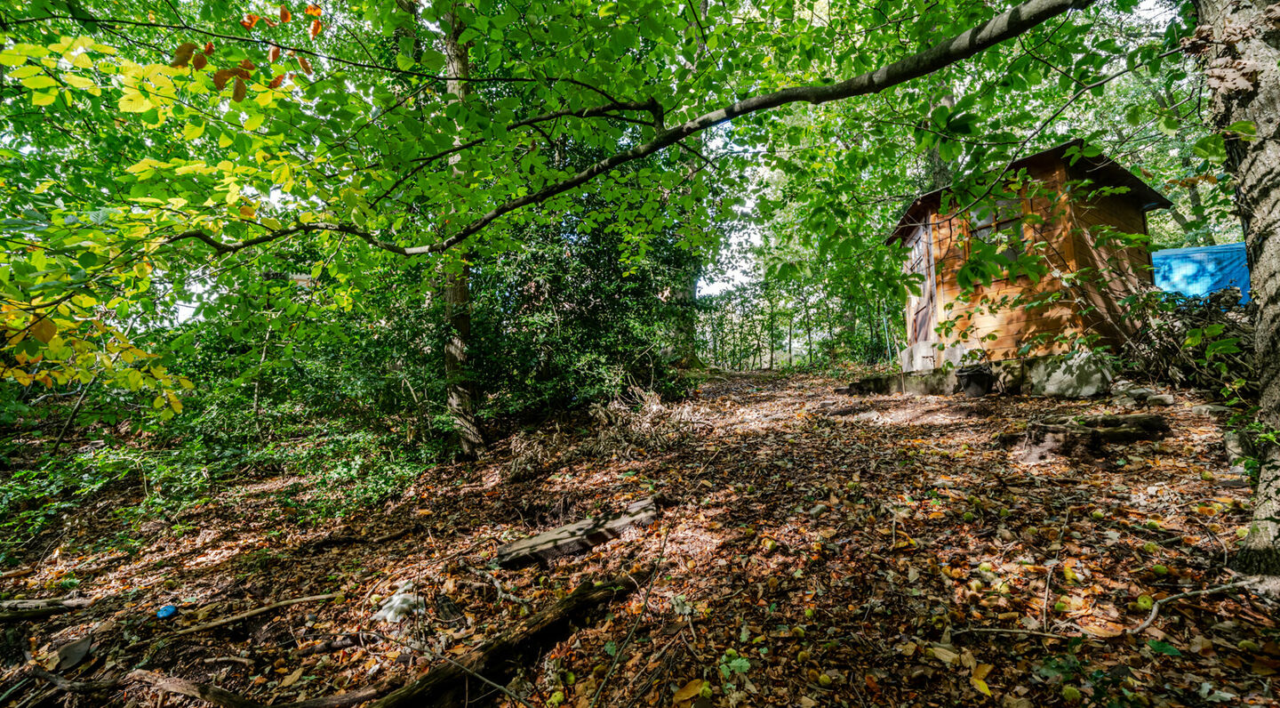 Family house for sale in Tervuren