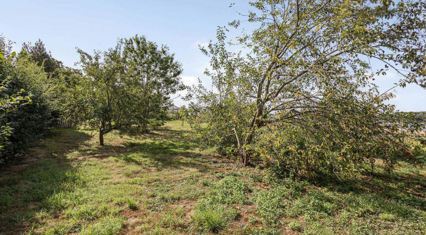 Family house for sale in Tervuren Duisburg