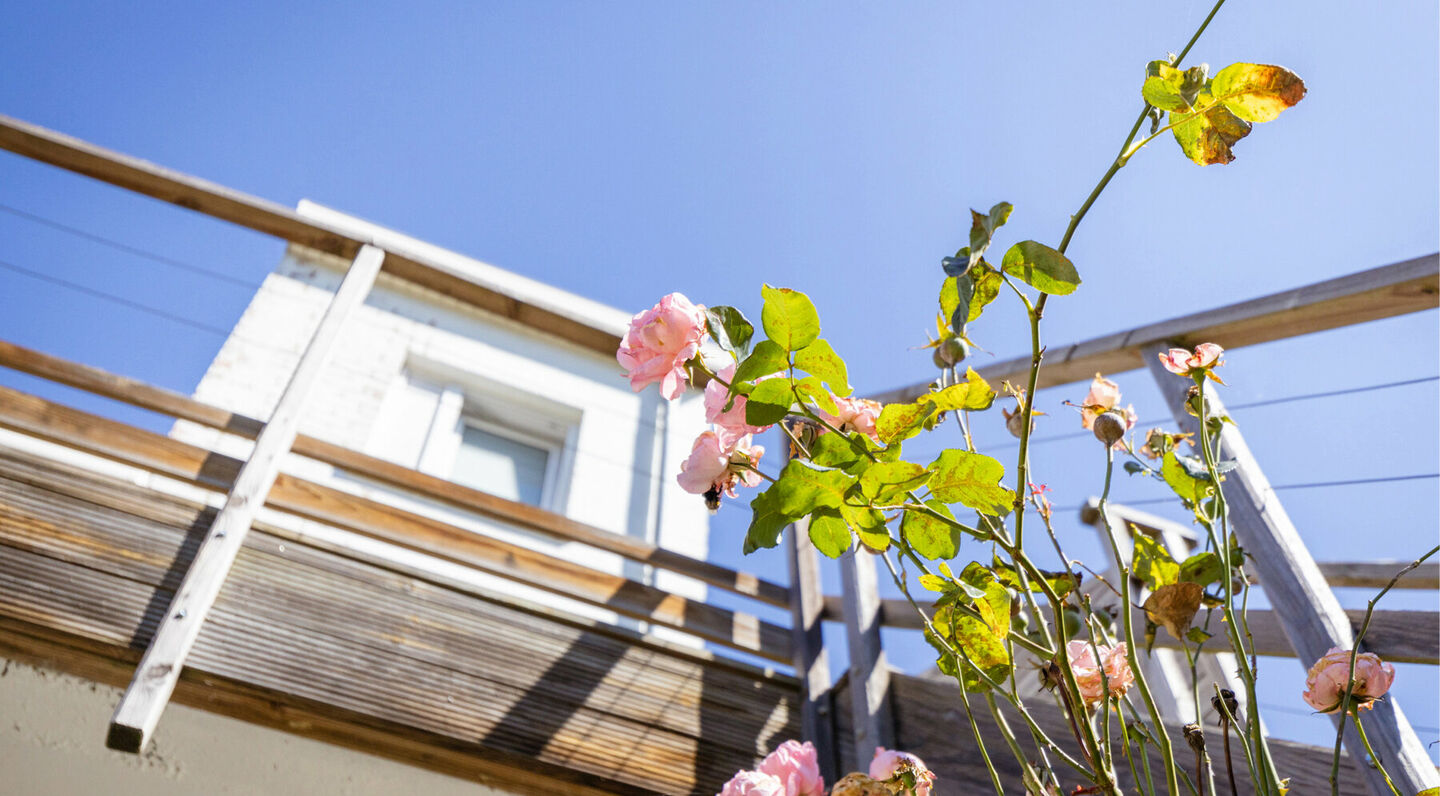House for rent in Zaventem Sterrebeek