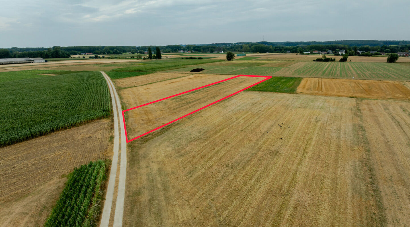 Landbouwgrond te koop in Kortenberg