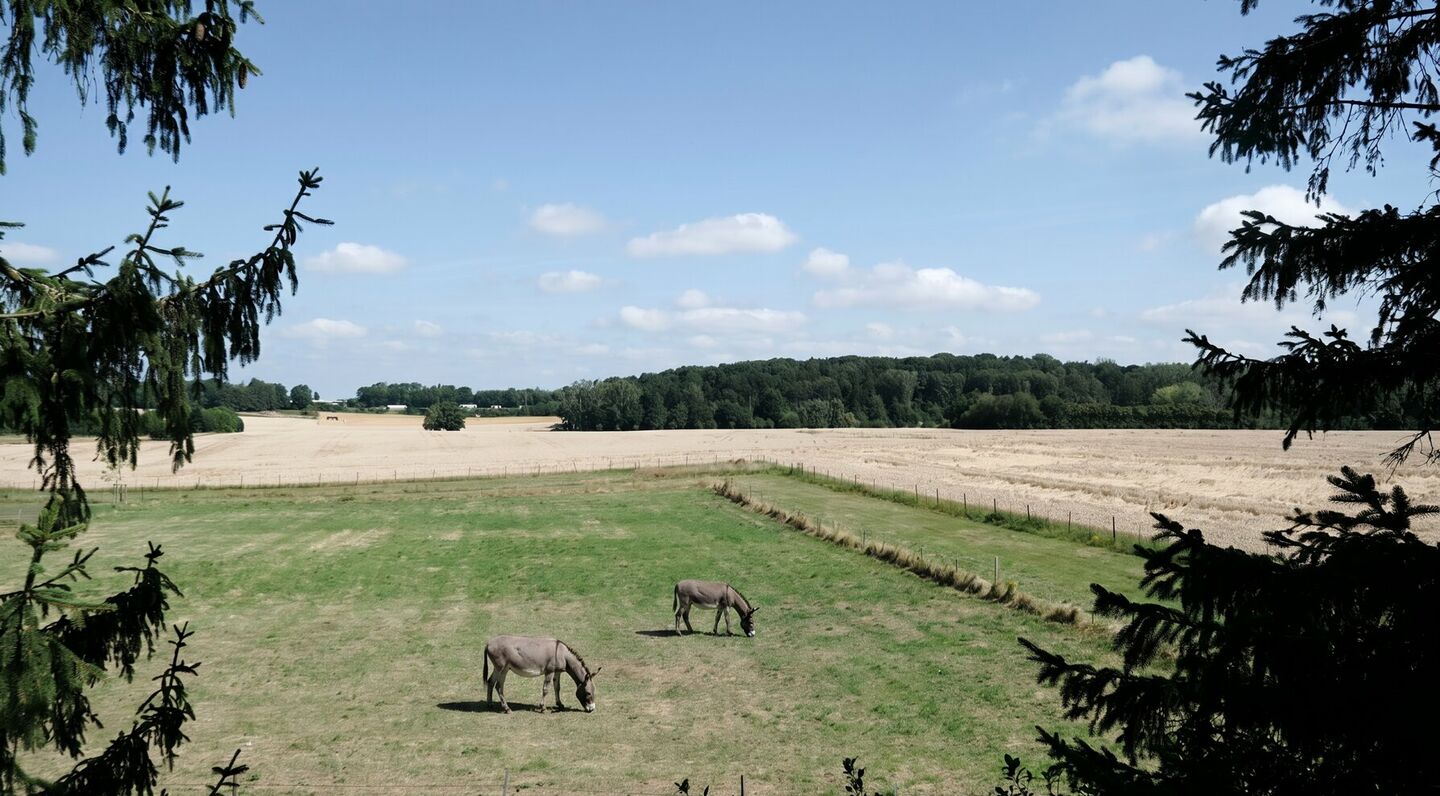 Maison unifamiliale à vendre à Sterrebeek