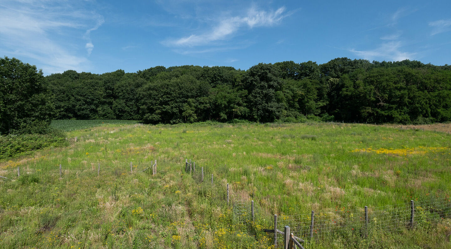 Terrain à bâtir à vendre à Grez-Doiceau