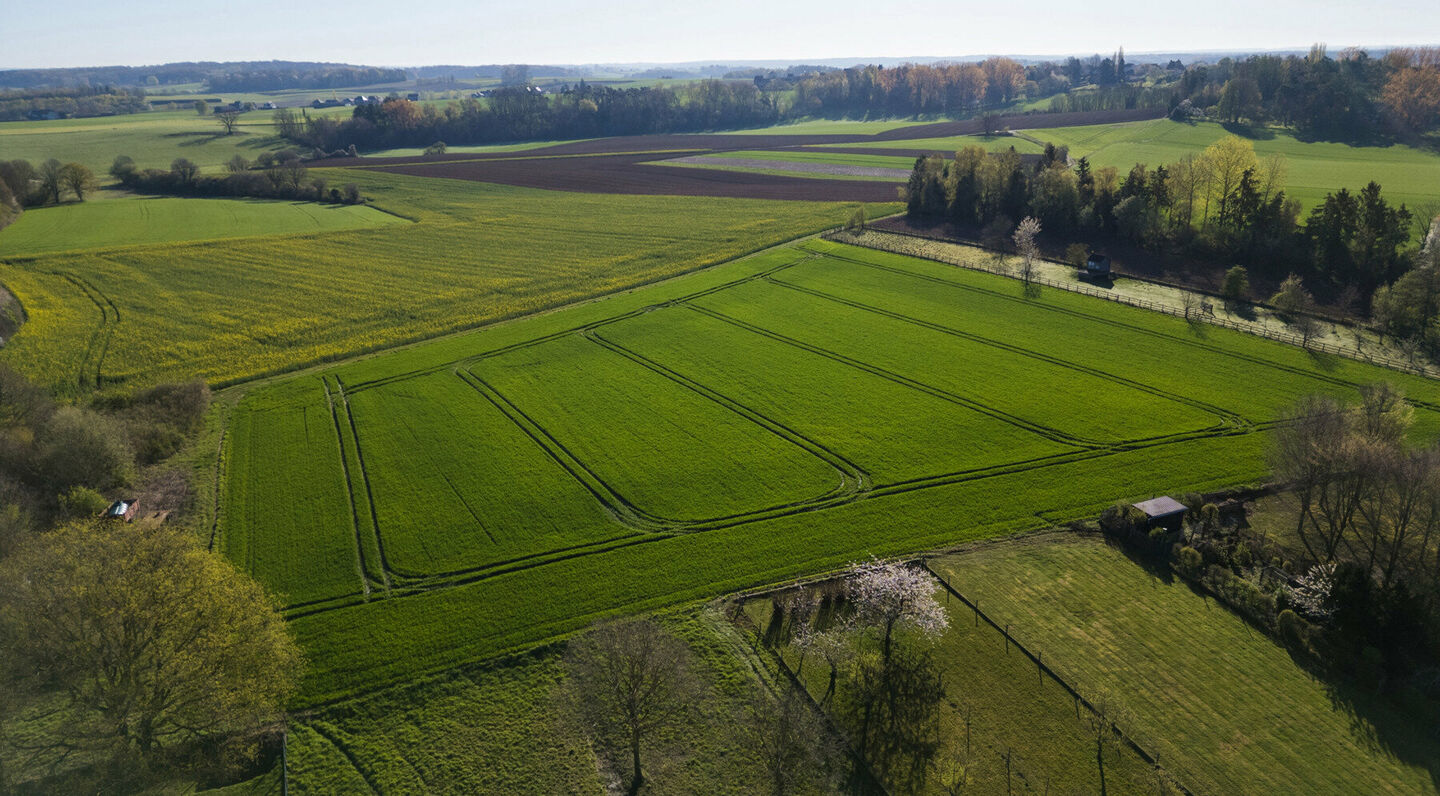 Terrain à bâtir à vendre à Tervuren