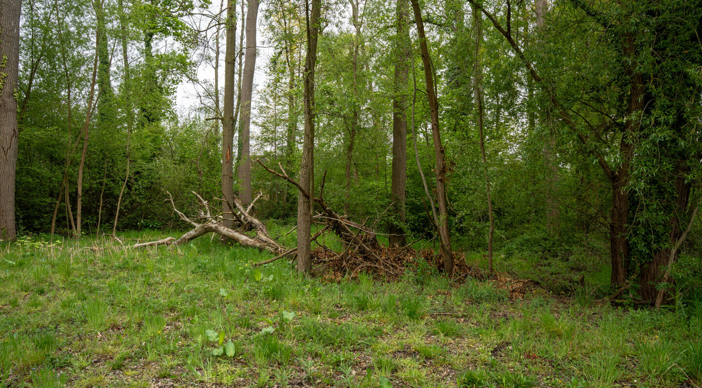 Villa te koop in Kampenhout